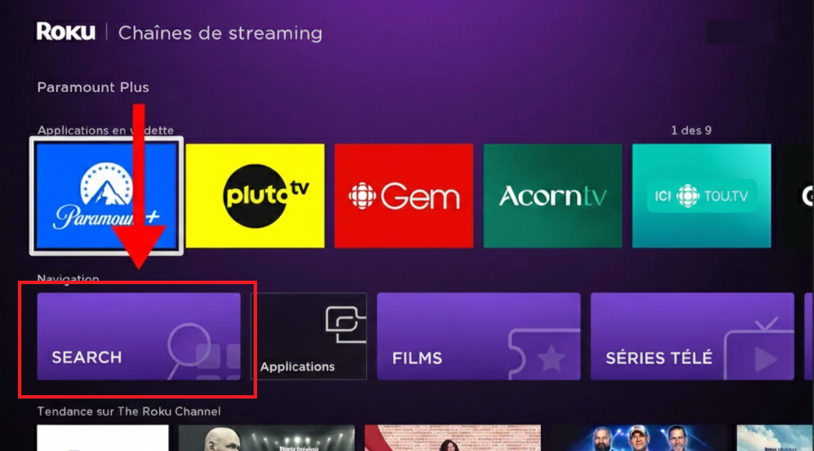 Roku – Bouton Search dans Chaînes de streaming
