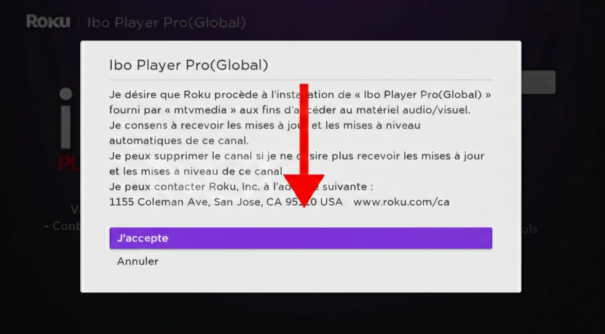 Roku – Accepter les conditions d'installation